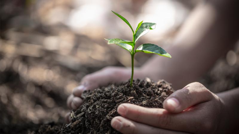 xi mạ chân không pvd thân thiên môi trường 