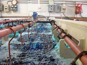 xi mạ đồ nhựa